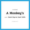 A monkey’s แปลว่า?, คำศัพท์ภาษาอังกฤษ A monkey’s แปลว่า ไม่สนใจ (ไม่สุภาพ), ไม่แคร์, ไม่ใส่ใจ ประเภท SL หมวด SL