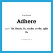 adhere แปลว่า?, คำศัพท์ภาษาอังกฤษ adhere แปลว่า ติด, ติดแน่น, จับ, แนบติด, เกาะติด, อยู่ติดกัน ประเภท VI หมวด VI