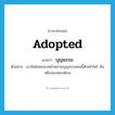 adopted แปลว่า?, คำศัพท์ภาษาอังกฤษ adopted แปลว่า บุญธรรม ประเภท ADJ ตัวอย่าง เขาไม่ค่อยชอบหน้าหลานบุญธรรมคนนี้สักเท่าไหร่ มันหยิ่งจองหองพิกล หมวด ADJ