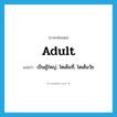 adult แปลว่า?, คำศัพท์ภาษาอังกฤษ adult แปลว่า เป็นผู้ใหญ่, โตเต็มที่, โตเต็มวัย ประเภท ADJ หมวด ADJ