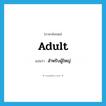 adult แปลว่า?, คำศัพท์ภาษาอังกฤษ adult แปลว่า สำหรับผู้ใหญ่ ประเภท ADJ หมวด ADJ