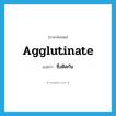 ซึ่งติดกัน ภาษาอังกฤษ?, คำศัพท์ภาษาอังกฤษ ซึ่งติดกัน แปลว่า agglutinate ประเภท ADJ หมวด ADJ