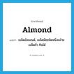 almond แปลว่า?, คำศัพท์ภาษาอังกฤษ almond แปลว่า เมล็ดอัลมอนด์, เมล็ดพืชชนิดหนึ่งคล้ายเมล็ดถั่ว กินได้ ประเภท N หมวด N