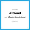 almond แปลว่า?, คำศัพท์ภาษาอังกฤษ almond แปลว่า สีน้ำตาลอ่อน, สีของเปลือกอัลมอนต์ ประเภท N หมวด N