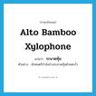 alto bamboo xylophone แปลว่า?, คำศัพท์ภาษาอังกฤษ alto bamboo xylophone แปลว่า ระนาดทุ้ม ประเภท N ตัวอย่าง นักดนตรีกำลังถ่วงระนาดทุ้มด้วยตะกั่ว หมวด N