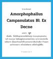 บุก ภาษาอังกฤษ?, คำศัพท์ภาษาอังกฤษ บุก แปลว่า Amorphophallus campanulatus Bl. ex Decne ประเภท DET เพิ่มเติม ชื่อไม้ล้มลุกหลายชนิดในสกุล Amorphophallus วงศ์ Araceae ในต้นฤดูฝนจะออกดอกก่อน เวลาบานจะส่งกลิ่นเหม็นมาก เมื่อดอกโรยแล้วมีใบงอกออกมาเพียงใบเดียว ก้านดอกและใบกลมยาว หน้าแล้งต้นตาย เหลือหัวอยู่ใต้ดิน หมวด DET