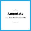 amputate แปลว่า?, คำศัพท์ภาษาอังกฤษ amputate แปลว่า ตัดออก (โดยเฉพาะด้วยการผ่าตัด) ประเภท VI หมวด VI