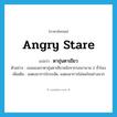 angry stare แปลว่า?, คำศัพท์ภาษาอังกฤษ angry stare แปลว่า ตาขุ่นตาเขียว ประเภท ADV ตัวอย่าง เธอมองเขาตาขุ่นตาเขียวหลังจากรอเขานาน 2 ชั่วโมง เพิ่มเติม แสดงอาการโกรธจัด, แสดงอาการไม่พอใจอย่างมาก หมวด ADV