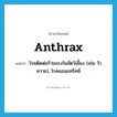 anthrax แปลว่า?, คำศัพท์ภาษาอังกฤษ anthrax แปลว่า โรคติดต่อร้ายแรงในสัตว์เลี้ยง (เช่น วัว ควาย), โรคแอนแทร็คซ์ ประเภท N หมวด N