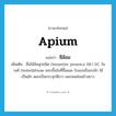 Apium แปลว่า?, คำศัพท์ภาษาอังกฤษ Apium แปลว่า ชีล้อม ประเภท N เพิ่มเติม ชื่อไม้ล้มลุกชนิด Oenanthe javanica (Bl.) DC. ในวงศ์ Umbelliferae ชอบขึ้นในที่ชื้นแฉะ ใบแบนรีขอบจัก ใช้เป็นผัก ดอกเป็นกระจุกสีขาว ผลกลมค่อนข้างยาว หมวด N