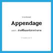 appendage แปลว่า?, คำศัพท์ภาษาอังกฤษ appendage แปลว่า ส่วนที่ยื่นออกไปจากร่างกาย ประเภท N หมวด N