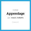 appendage แปลว่า?, คำศัพท์ภาษาอังกฤษ appendage แปลว่า ส่วนผนวก, ส่วนห้อยท้าย ประเภท N หมวด N