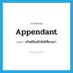 appendant แปลว่า?, คำศัพท์ภาษาอังกฤษ appendant แปลว่า ทรัพย์สินหรือสิทธิที่ตามมา ประเภท N หมวด N