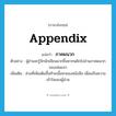 appendix แปลว่า?, คำศัพท์ภาษาอังกฤษ appendix แปลว่า ภาคผนวก ประเภท N ตัวอย่าง ผู้อ่านจะรู้จักนักเขียนมากขึ้นหากพลิกไปอ่านภาคผนวกของเล่มแรก เพิ่มเติม ส่วนที่เพิ่มเติมขึ้นท้ายเนื้อหาของหนังสือ เพื่อเสริมความเข้าใจของผู้อ่าน หมวด N