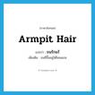 armpit hair แปลว่า?, คำศัพท์ภาษาอังกฤษ armpit hair แปลว่า ขนรักแร้ ประเภท N เพิ่มเติม ขนที่ขึ้นอยู่ใต้โคนแขน หมวด N