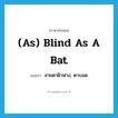 (as) blind as a bat แปลว่า?, คำศัพท์ภาษาอังกฤษ (as) blind as a bat แปลว่า สายตาฝ้าฟาง, ตาบอด ประเภท IDM หมวด IDM