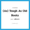 (as) tough as old boots แปลว่า?, คำศัพท์ภาษาอังกฤษ (as) tough as old boots แปลว่า เหนียวมาก ประเภท IDM หมวด IDM