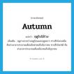 autumn แปลว่า?, คำศัพท์ภาษาอังกฤษ autumn แปลว่า ฤดูใบไม้ร่วง ประเภท N เพิ่มเติม ฤดูกาลระหว่างฤดูร้อนและฤดูหนาว ทางซีกโลกเหนือคือช่วงเวลาประมาณเดือนสิงหาคมถึงธันวาคม ทางซีกโลกใต้ คือช่วงเวลาประมาณเดือนมีนาคมถึงมิถุนายน หมวด N