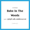 babe in the woods แปลว่า?, คำศัพท์ภาษาอังกฤษ babe in the woods แปลว่า ผู้บริสุทธิ์, คนซื่อ, คนไม่มีประสบการณ์ ประเภท IDM หมวด IDM