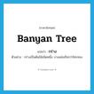 กร่าง ภาษาอังกฤษ?, คำศัพท์ภาษาอังกฤษ กร่าง แปลว่า banyan tree ประเภท N ตัวอย่าง กร่างเป็นต้นไม้ชนิดหนึ่ง บางแห่งเรียกว่าไทรทอง หมวด N