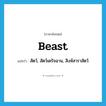 beast แปลว่า?, คำศัพท์ภาษาอังกฤษ beast แปลว่า สัตว์, สัตว์เดรัจฉาน, สิงห์สาราสัตว์ ประเภท N หมวด N