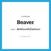 beaver แปลว่า?, คำศัพท์ภาษาอังกฤษ beaver แปลว่า สัตว์ครึ่งบกครึ่งน้ำคล้ายนาก ประเภท N หมวด N