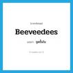 ชุดชั้นใน ภาษาอังกฤษ?, คำศัพท์ภาษาอังกฤษ ชุดชั้นใน แปลว่า beeveedees ประเภท SL หมวด SL