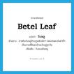 betel leaf แปลว่า?, คำศัพท์ภาษาอังกฤษ betel leaf แปลว่า ใบพลู ประเภท N ตัวอย่าง ย่าหยิบใบพลูป้ายปูนพับเล็กๆ ใส่ลงในตะบันตำถี่ๆ เป็นภาพที่ชินตาข้าพเจ้าอยู่ทุกวัน เพิ่มเติม ใบของต้นพลู หมวด N