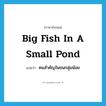 big fish in a small pond แปลว่า?, คำศัพท์ภาษาอังกฤษ big fish in a small pond แปลว่า คนสำคัญในชนกลุ่มน้อย ประเภท IDM หมวด IDM