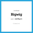 bigwig แปลว่า?, คำศัพท์ภาษาอังกฤษ bigwig แปลว่า คนสำคัญมาก ประเภท N หมวด N