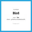 bird แปลว่า?, คำศัพท์ภาษาอังกฤษ bird แปลว่า วิหค ประเภท N ตัวอย่าง ฝูงวิหคบินจากรังส่งเสียงร้องไปทั่ว หมวด N