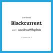 blackcurrent แปลว่า?, คำศัพท์ภาษาอังกฤษ blackcurrent แปลว่า ผลแบล็กเบอร์รี่ที่อยู่เป็นช่อ ประเภท N หมวด N