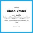 blood vessel แปลว่า?, คำศัพท์ภาษาอังกฤษ blood vessel แปลว่า เส้นโลหิต ประเภท N ตัวอย่าง การได้รับพิษตะกั่วติดต่อกันเป็นเวลานาน จะทำให้เกิดการเสื่อมสลายของเส้นโลหิตฝอย และเส้นโลหิตอื่นๆ ในสมอง เพิ่มเติม ทางเดินเลือดไปสู่หรือออกจากอวัยวะต่างๆ ของร่างกาย หมวด N