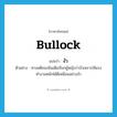 งัว ภาษาอังกฤษ?, คำศัพท์ภาษาอังกฤษ งัว แปลว่า bullock ประเภท N ตัวอย่าง ทางคติของอินเดียเรียกผู้หญิงว่างัวเพราะใช้แรงทำงานหนักได้ดีเหมือนอย่างงัว หมวด N