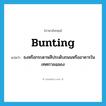 bunting แปลว่า?, คำศัพท์ภาษาอังกฤษ bunting แปลว่า ธงหรือกระดาษสีประดับถนนหรืออาคารในเทศกาลฉลอง ประเภท N หมวด N