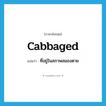 cabbaged แปลว่า?, คำศัพท์ภาษาอังกฤษ cabbaged แปลว่า ที่อยู่ในสภาพสมองตาย ประเภท SL หมวด SL