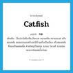 catfish แปลว่า?, คำศัพท์ภาษาอังกฤษ catfish แปลว่า กด ประเภท N เพิ่มเติม ชื่อปลาไม่มีเกล็ด มีหนวด หลายชนิด หลายขนาด ครีบตอนหลัง ตอนแรกและครีบอกมีก้านครีบเป็นเงี่ยง ครีบตอนหลังที่สองเป็นแผ่นเนื้อ ส่วนใหญ่เป็นสกุล Arius ในวงศ์ Ariidae พบมากในเขตน้ำกร่อย หมวด N