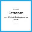 cetacean แปลว่า?, คำศัพท์ภาษาอังกฤษ cetacean แปลว่า ที่เกี่ยวกับสัตว์น้ำที่เลี้ยงลูกด้วยนม (เช่น ปลาวาฬ) ประเภท ADJ หมวด ADJ