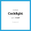 cockfight แปลว่า?, คำศัพท์ภาษาอังกฤษ cockfight แปลว่า การชนไก่ ประเภท N หมวด N