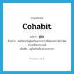 cohabit แปลว่า?, คำศัพท์ภาษาอังกฤษ cohabit แปลว่า สู่สม ประเภท V ตัวอย่าง คนไทยจะไม่สู่สมกันเองระหว่างพี่น้องเพราะถือว่าผิดธรรมเนียมประเพณี เพิ่มเติม อยู่กินกันเยี่ยงสามาภรรยา หมวด V