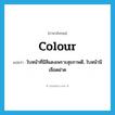 colour แปลว่า?, คำศัพท์ภาษาอังกฤษ colour แปลว่า ใบหน้าที่มีสีแดงเพราะสุขภาพดี, ใบหน้ามีเลือดฝาด ประเภท N หมวด N