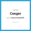 conger แปลว่า?, คำศัพท์ภาษาอังกฤษ conger แปลว่า ปลาไหลขนาดใหญ่ชนิดหนึ่ง ประเภท N หมวด N