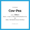 cow-pea แปลว่า?, คำศัพท์ภาษาอังกฤษ cow-pea แปลว่า ถั่วฝักยาว ประเภท N ตัวอย่าง เราปลูกบวบ ถั่วฝักยาวและฟักทองกินเป็นประจำจนเบื่อ เพิ่มเติม ชื่อถั่วชนิดหนึ่ง ฝักกลมยาวคล้ายฝักแค หมวด N