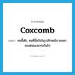 coxcomb แปลว่า?, คำศัพท์ภาษาอังกฤษ coxcomb แปลว่า คนขี้เต๊ะ, คนที่มั่นใจในรูปลักษณ์ภายนอกของตนเองมากเกินไป ประเภท N หมวด N