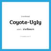 coyote-ugly แปลว่า?, คำศัพท์ภาษาอังกฤษ coyote-ugly แปลว่า น่าเกลียดมาก ประเภท SL หมวด SL