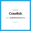 crawfish แปลว่า?, คำศัพท์ภาษาอังกฤษ crawfish แปลว่า กุ้งชนิดหนึ่งคล้ายกุ้งก้ามกราม ประเภท N หมวด N