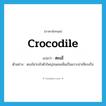 crocodile แปลว่า?, คำศัพท์ภาษาอังกฤษ crocodile แปลว่า ตะเข้ ประเภท N ตัวอย่าง ตะเข้น่ากลัวตัวใหญ่จนคนเห็นเป็นเกาะน่าเทียบเรือ หมวด N