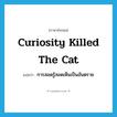 Curiosity killed the cat แปลว่า?, คำศัพท์ภาษาอังกฤษ Curiosity killed the cat แปลว่า การสอดรู้สอดเห็นเป็นอันตราย ประเภท IDM หมวด IDM