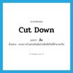 cut down แปลว่า?, คำศัพท์ภาษาอังกฤษ cut down แปลว่า ล้ม ประเภท V ตัวอย่าง พวกชาวบ้านช่วยกันล้มป่าเพื่อใช้เป็นที่ทำมาหากิน หมวด V