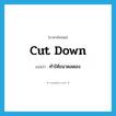 cut down แปลว่า?, คำศัพท์ภาษาอังกฤษ cut down แปลว่า ทำให้ขนาดลดลง ประเภท PHRV หมวด PHRV